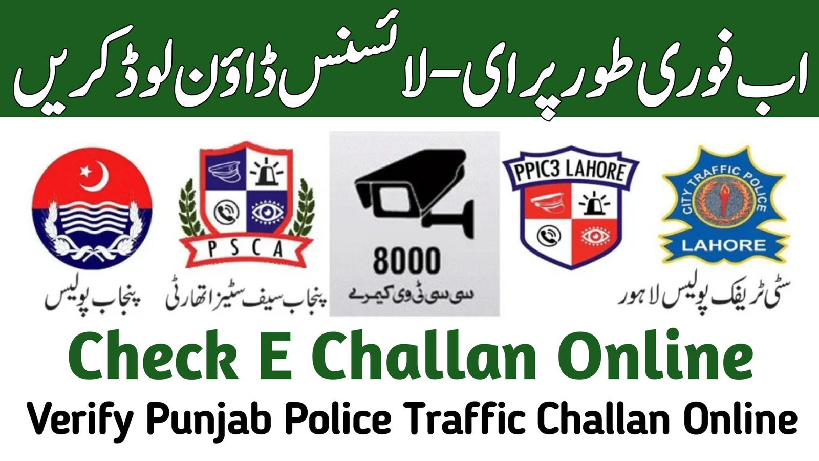 Download e-License Instantly