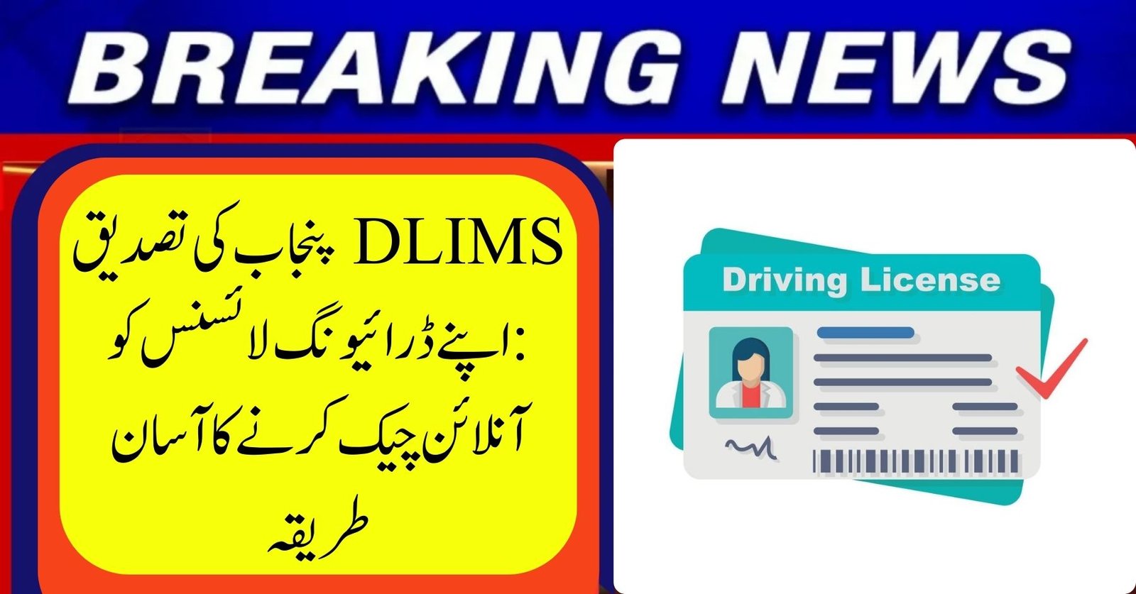 DLIMS Tracking Licence Punjab Contact Number