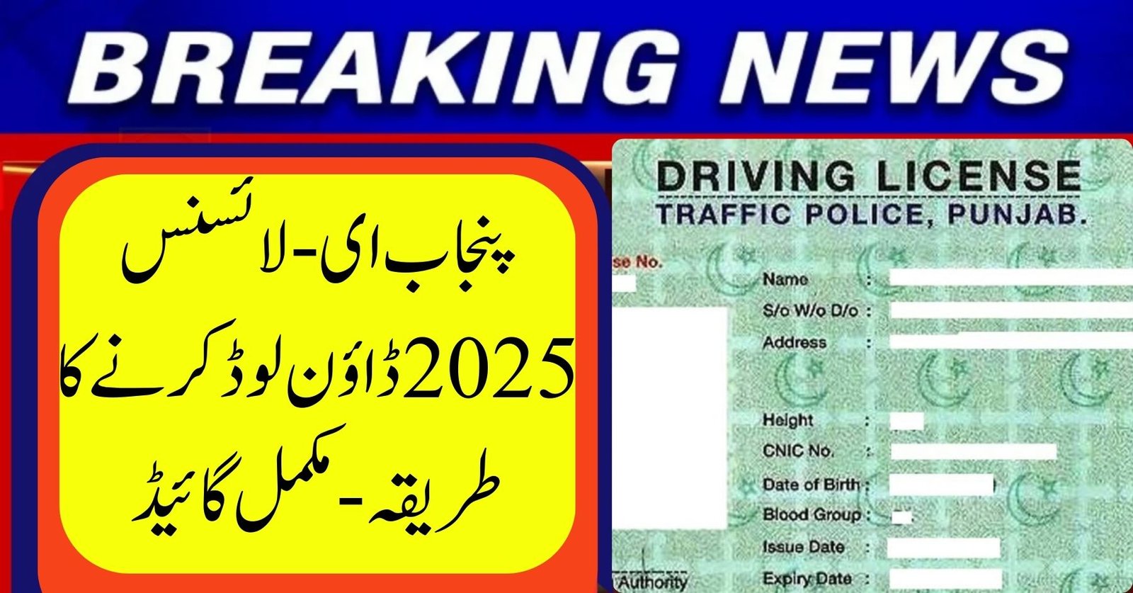 Download Punjab e-License