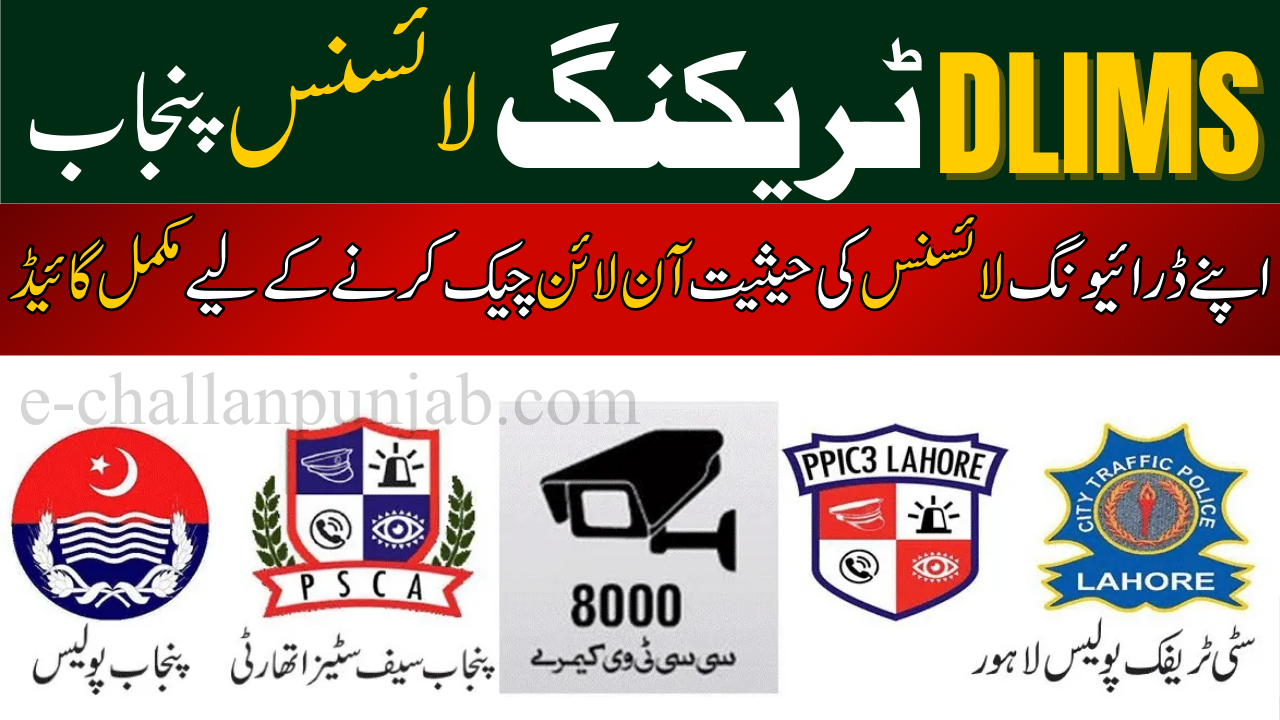 DLIMS Tracking License Punjab